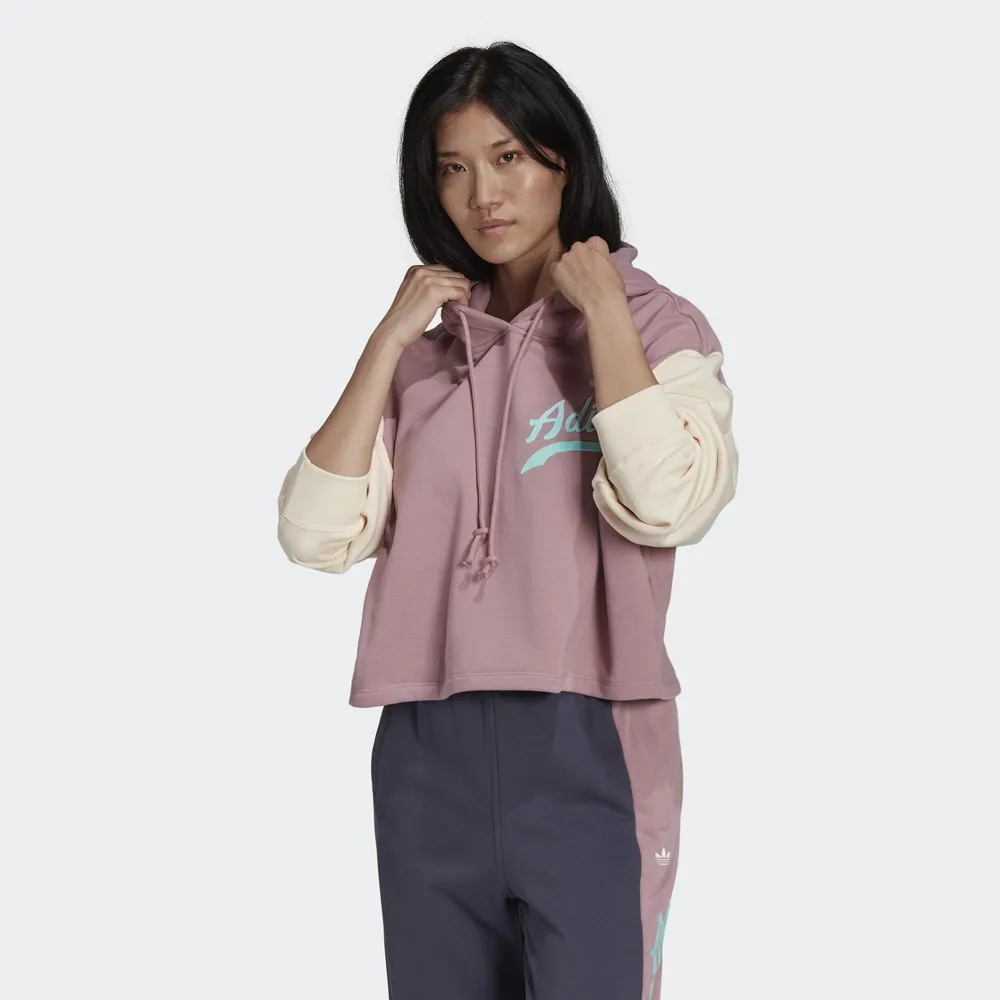 【ADIDAS】HOODIE 女 連帽上衣-HC4545 歷史價格詳細信息