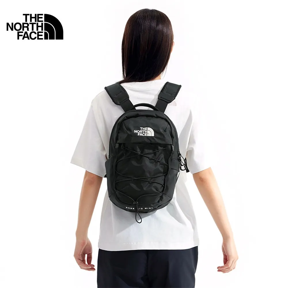 【The North Face】女 休閒後背包-NF0A52SW4Q7 歷史價格詳細信息