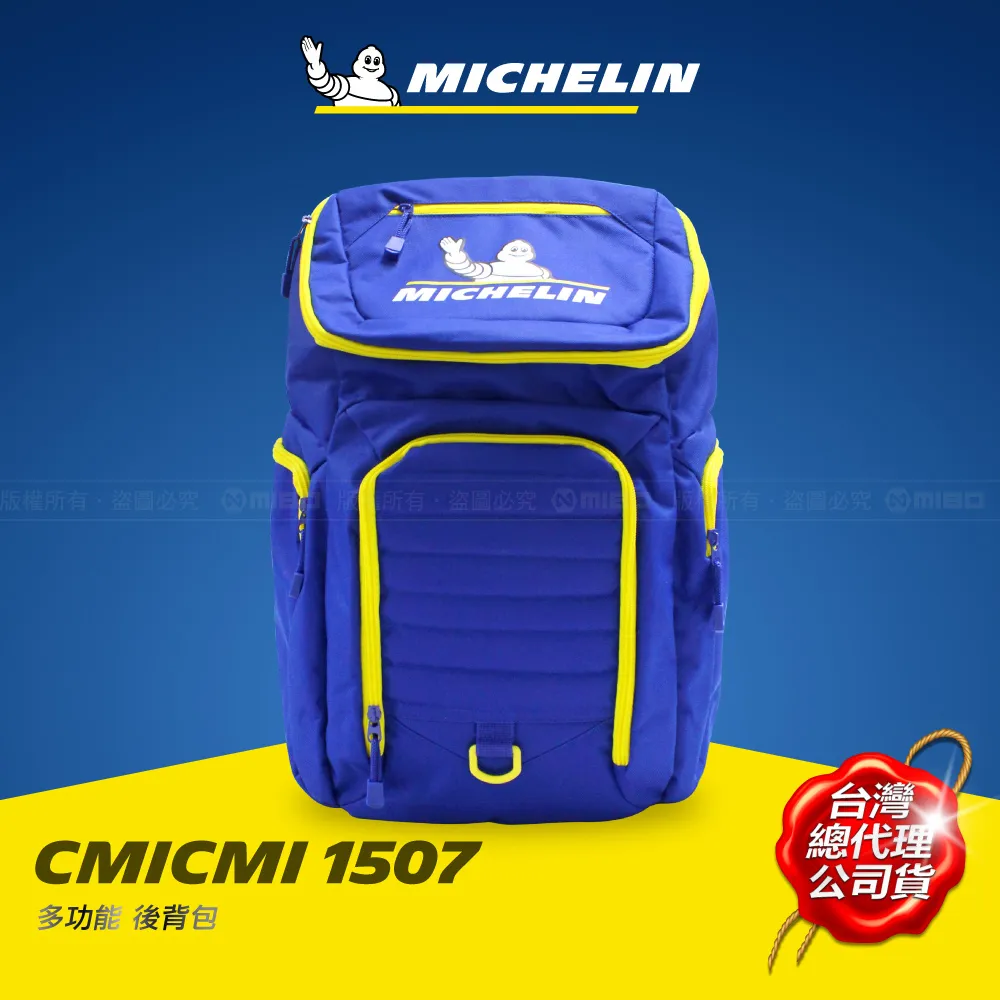 MICHELIN 米其林 多功能車用後箱收納袋 3102 歷史價格詳細信息