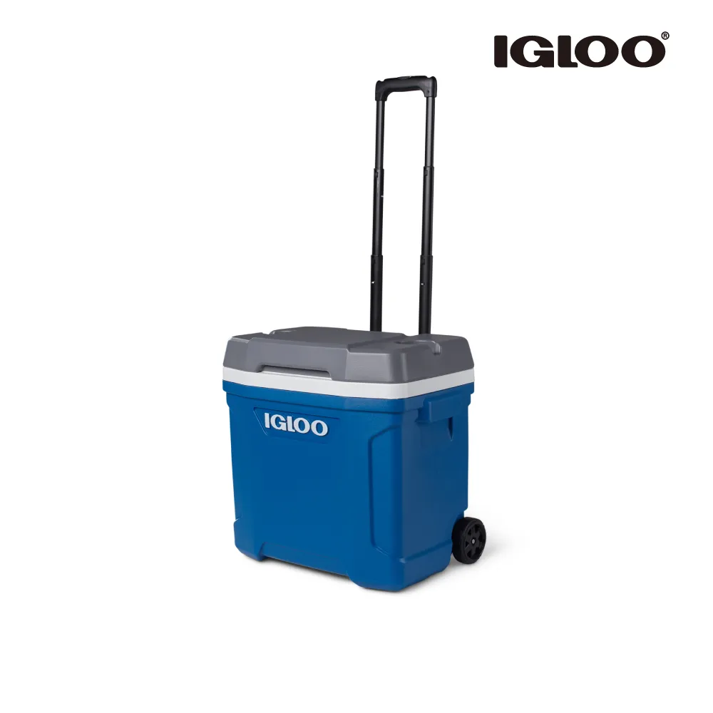 Igloo LATITUDE 系列 16QT 冰桶 32625 歷史價格詳細信息