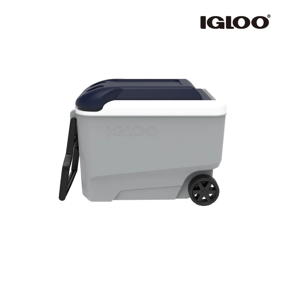 IGLOO MAXCOLD 系列五日鮮 54QT 冰桶 50543 歷史價格詳細信息