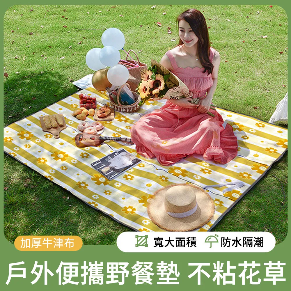 野餐墊防潮墊加厚沙灘墊戶外露營帳篷地墊便攜折疊坐墊便 歷史價格詳細信息