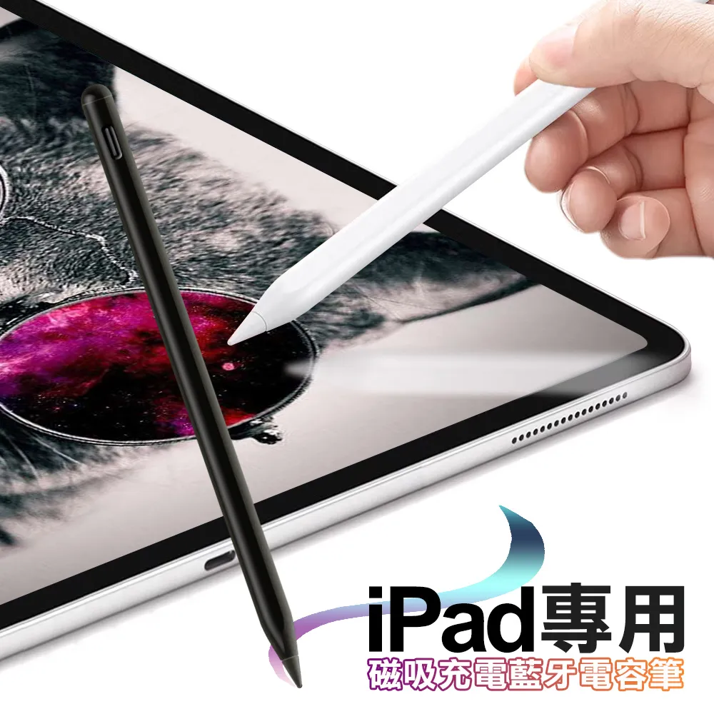 磁吸充電電容筆  ipad專用可吸附觸控筆 雙寫手寫筆 系統通用筆 歷史價格詳細信息