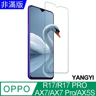 OPPO R17 Pro 9H玻璃保護貼 R17 Pro 2.5D滿版玻璃 R17 鋼化玻璃保貼 OPPO保護貼 螢幕貼 歷史價格詳細信息