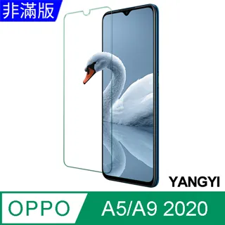 OPPO A9 2020 玻璃纖維-鏡頭保護貼(二入裝) 歷史價格詳細信息