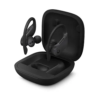 Beats Powerbeats Pro 完全無線耳機(原廠公司貨) 歷史價格詳細信息