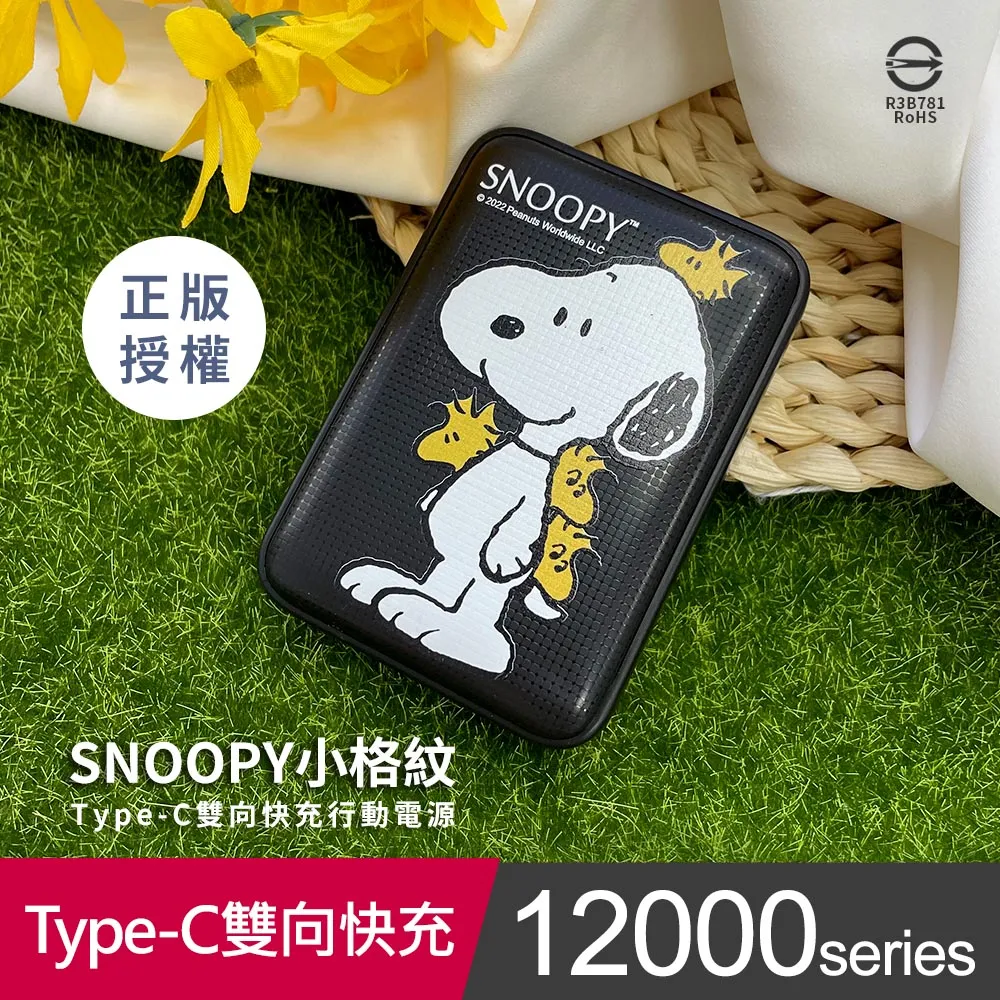 雙向充電行動電源12000mAh Type-C【蝦皮團購】 歷史價格詳細信息