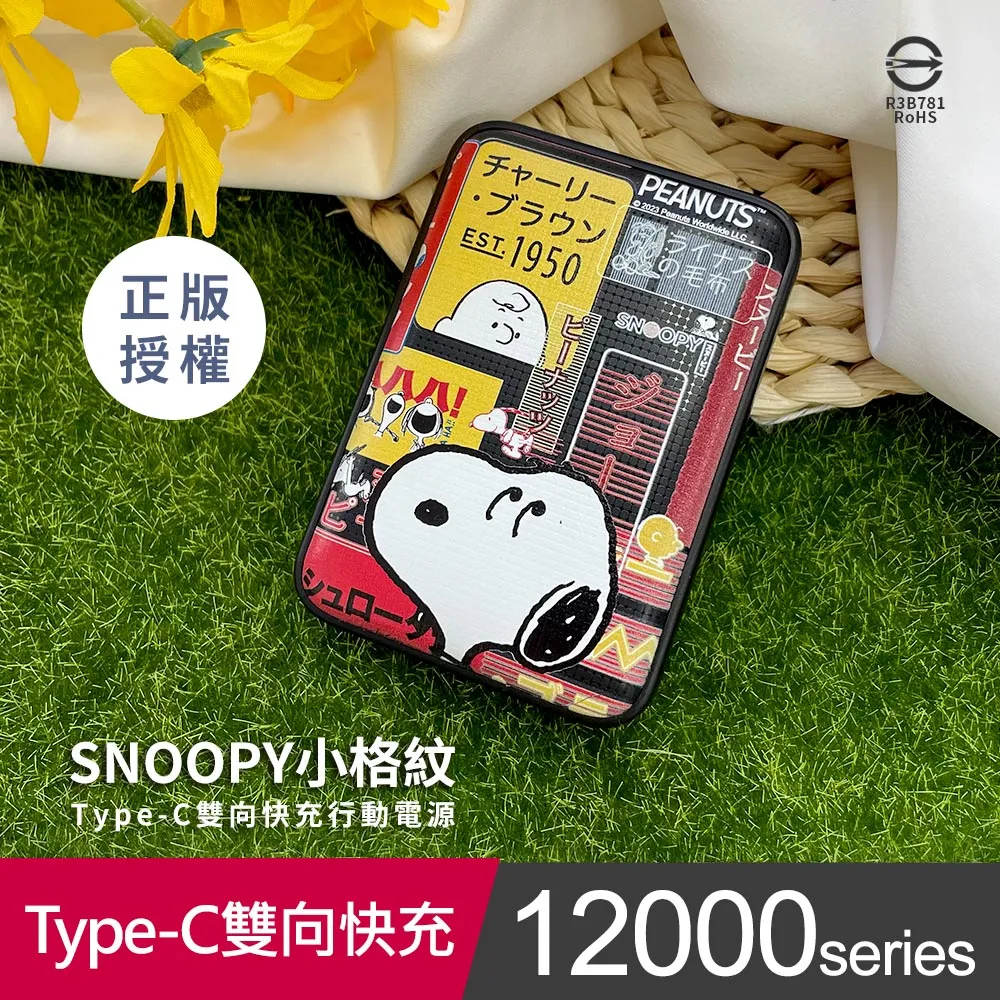 雙向充電行動電源12000mAh Type-C【蝦皮團購】 歷史價格詳細信息