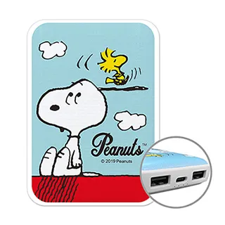 SNOOPY 小格紋13000Type-C行動電源-太空漫步 歷史價格詳細信息