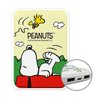 SNOOPY 小格紋13000Type-C行動電源-太空漫步 歷史價格詳細信息