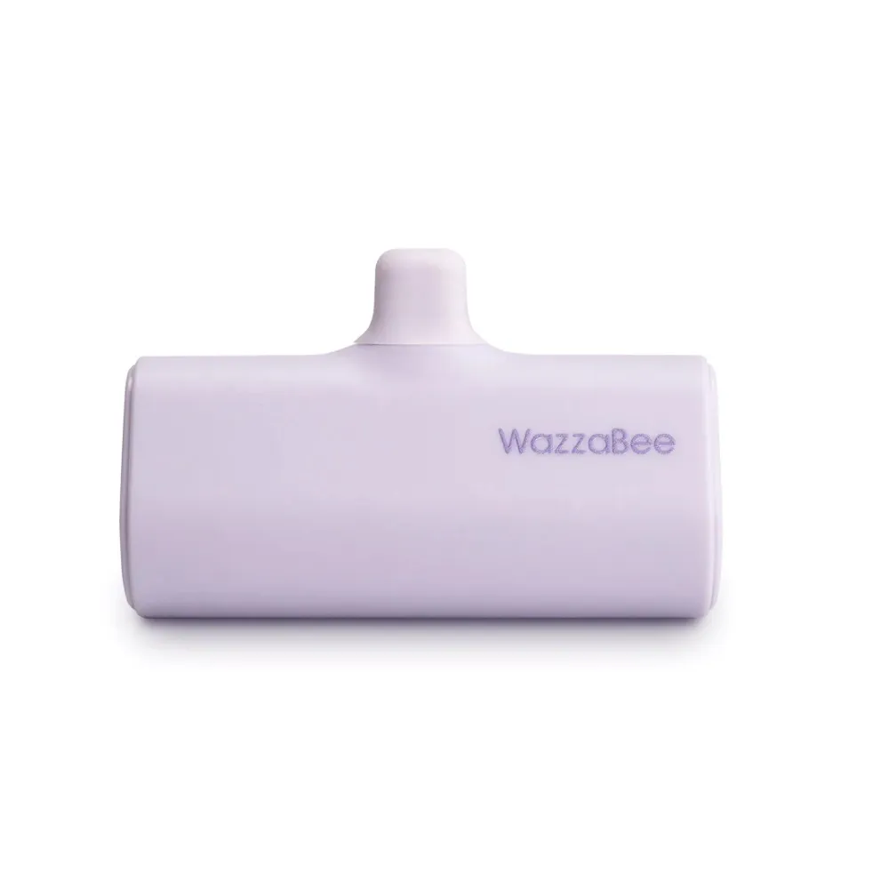 WazzaBee 20W PD快充掌心行動電源 5000mAh Lightning 歷史價格詳細信息