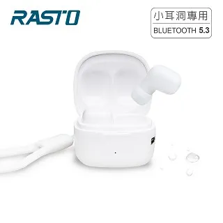 RASTO RASTO RS51小耳洞專用TWS真無線藍牙5.3耳機- 歷史價格詳細信息
