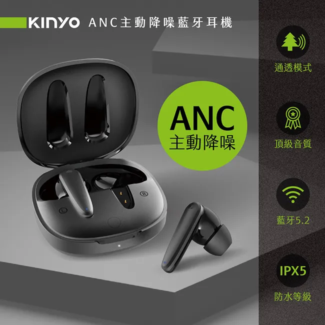【KINYO】ANC主動降噪藍牙耳機 (BTE-3995) 歷史價格詳細信息