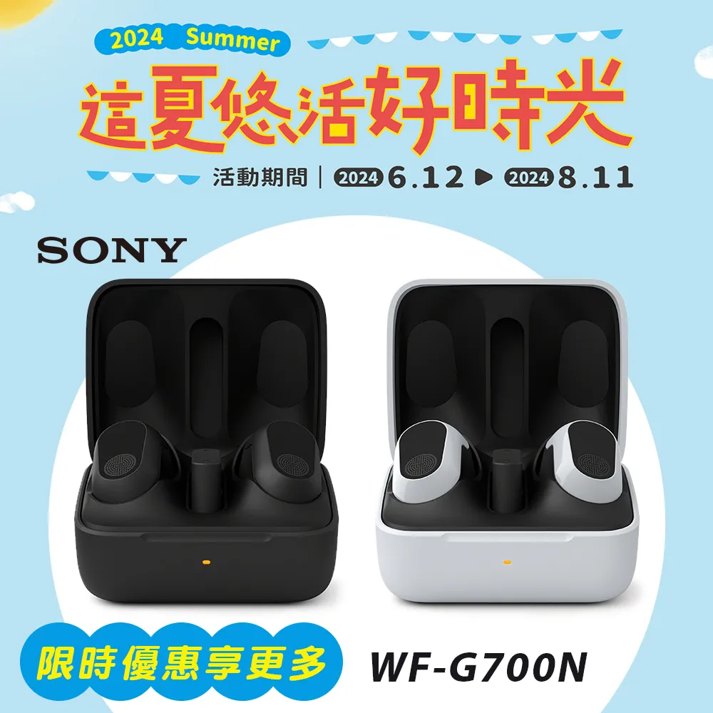 SONY WF-G700N 專用果凍套 歷史價格詳細信息
