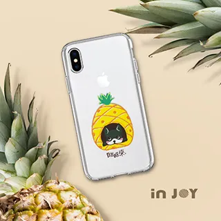 INJOY mall iPhone X I DONT CARE透明花豹 防摔手機殼 保護殼 歷史價格詳細信息