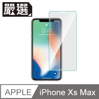 嚴選 iPhone Xs Max 非滿版疏水疏油鋼化玻璃保護貼(6.5吋) 歷史價格詳細信息
