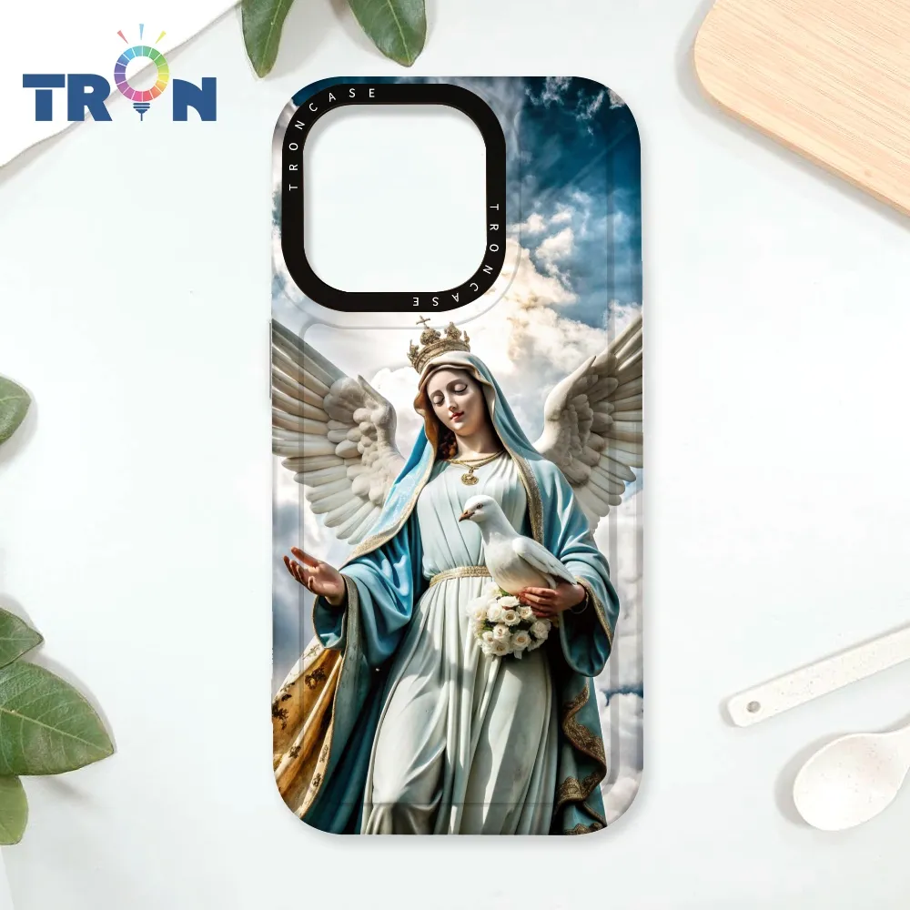 TRON IPhone 16 Pro 聖母水彩 四角防摔殼 手機殼 歷史價格詳細信息