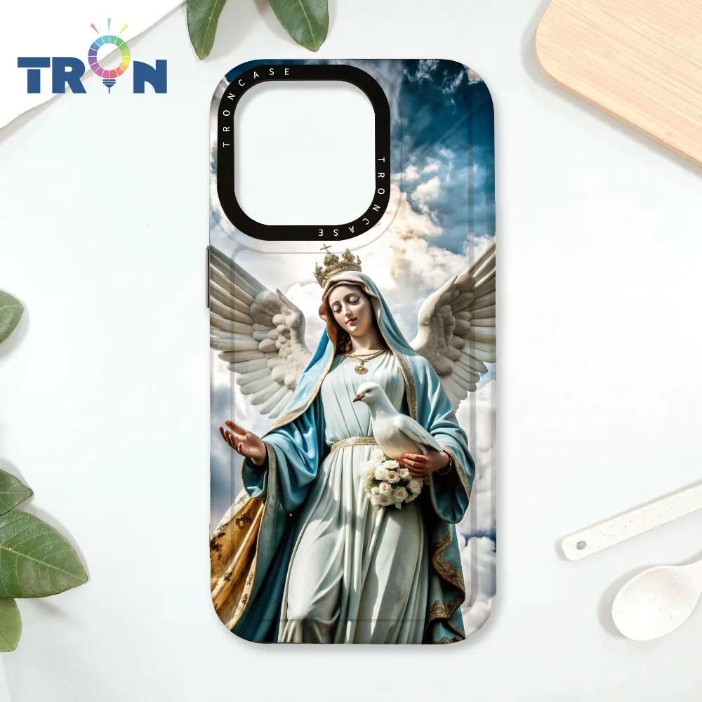 TRON IPhone 16 Pro 聖母水彩 四角防摔殼 手機殼 歷史價格詳細信息
