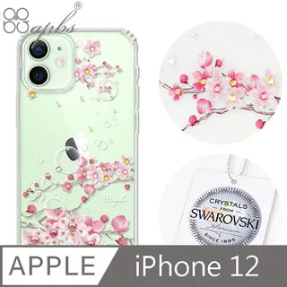 iphone 12 6.1吋(雙攝影頭) apple 蘋果手機鋼化膜 螢幕保護貼-249免運費 歷史價格詳細信息