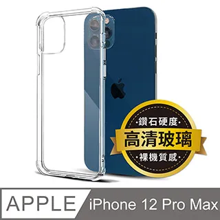 iPhone 12 Pro Max【6.7吋】類碳纖維背貼 歷史價格詳細信息