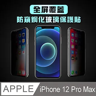 iPhone 12 Pro Max 6.7吋 太空漫步小恐龍抗黃防摔iPhone手機殼 白線 歷史價格詳細信息