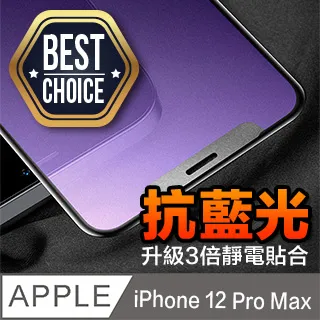 iPhone 12 Pro 2.5D曲面滿版 9H防爆鋼化玻璃保護貼 黑色 歷史價格詳細信息