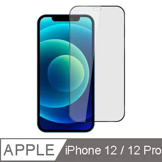 iPhone 12 / 12 Pro 6.1吋 (全透明/二入裝) 鋼化玻璃膜螢幕保護貼 歷史價格詳細信息