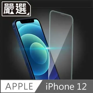 嚴選 iPhone 12 非滿版高透防污鋼化玻璃貼 歷史價格詳細信息