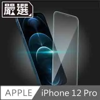 嚴選 iPhone 12 Pro Max 非滿版高透防污鋼化玻璃貼 歷史價格詳細信息