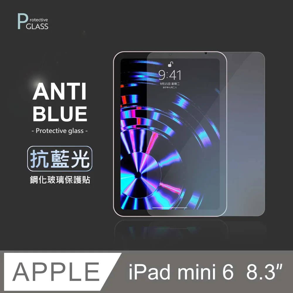 iPad Mini 6(8.3吋)適用 磁吸可拆卸類紙膜(附收納夾) 歷史價格詳細信息