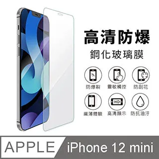 iPhone 12 mini 5.4吋 20D滿版鋼化玻璃貼 螢幕 保護貼 保護膜 歷史價格詳細信息