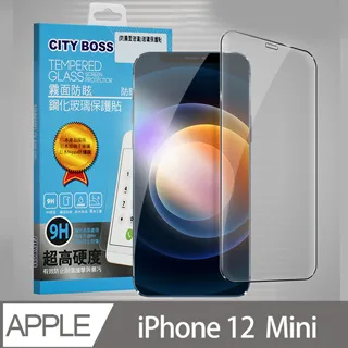 CITYBOSS for iPhone12/12Pro 6.1吋 霧面防眩鋼化玻璃保護貼-黑 歷史價格詳細信息