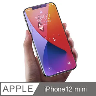 Benks 抗藍光鑽石膜 iPhone 11 Pro XS Max X V Pro 3D 隱形滿版保護貼 歷史價格詳細信息