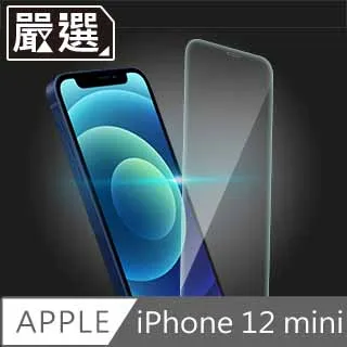 嚴選 iPhone 12 非滿版高透防污鋼化玻璃貼 歷史價格詳細信息