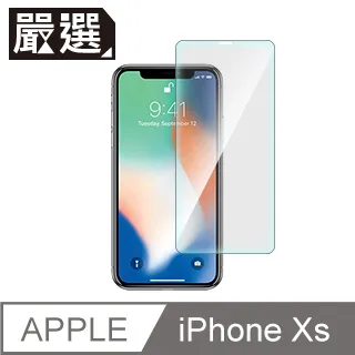 嚴選 iPhone Xs Max 非滿版疏水疏油鋼化玻璃保護貼(6.5吋) 歷史價格詳細信息
