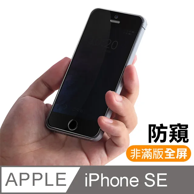 iPhone 5/5s/SE 藍紫光 手機鋼化膜保護貼 歷史價格詳細信息