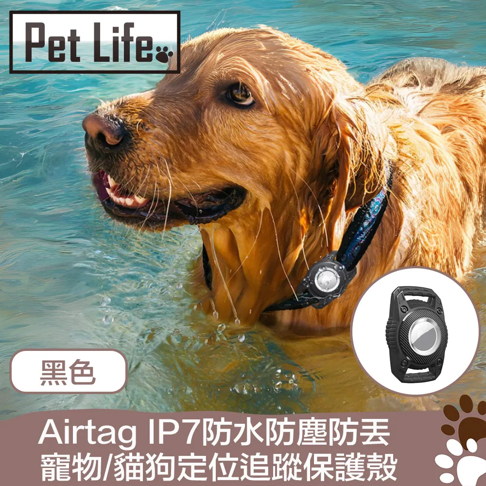 Pet Life 防潮透氣可拆洗寵物木床/貓窩/狗窩 原色小熊款 L號 歷史價格詳細信息