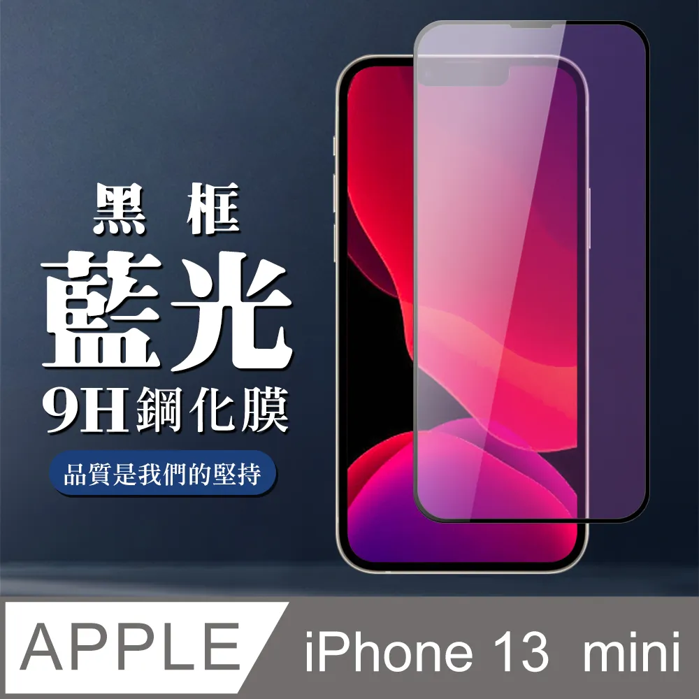 【IPhone 13 MINI】 5D高清藍光保護貼保護膜 黑框藍光全覆蓋鋼化玻璃膜 防刮防爆-2入組 歷史價格詳細信息