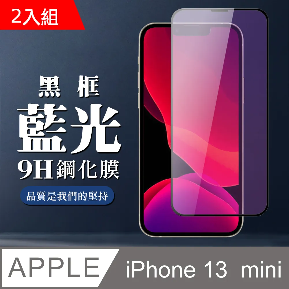 【IPhone 13 MINI】 5D高清藍光保護貼保護膜 黑框藍光全覆蓋鋼化玻璃膜 防刮防爆-2入組 歷史價格詳細信息