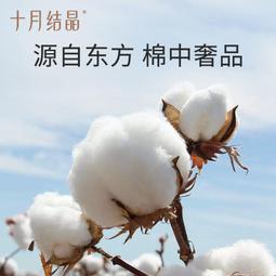 大拇指結晶冰糖 300g/包  【大潤發】 歷史價格詳細信息