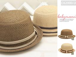 優士時尚電吹風機2000W以上大功率冷熱風恆溫護髮速幹 吹風筒 歷史價格詳細信息