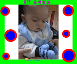 毛不易 幼鳥指南 LONELY PLANET (CD) 輕装出行版 CD+歌词本 中國正版 歷史價格詳細信息