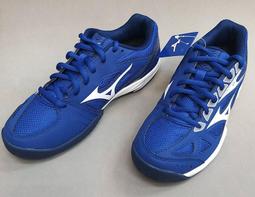 尼莫體育 MIZUNO 美津濃 4E超寬楦慢跑鞋 INSPIRE 15 SW 型號 J1GC194551 歷史價格詳細信息