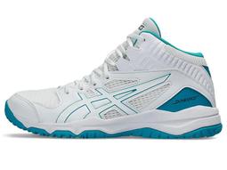 2024 asics 亞瑟士 中筒襪 男女中性款休閒襪 流行襪 運動襪 (3033C034-100白色,200棕色) 歷史價格詳細信息