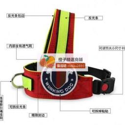 遛狗繩狗鏈子中型大型犬狗狗牽引繩金毛德牧馬犬拉布拉多短牽項圈 歷史價格詳細信息