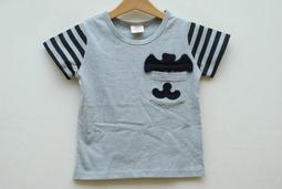 【出清價】灰色 Apple Ipad Air2 Ipad Air 2 Ipad6 Ipad 6  皮套 手機套 保護套 歷史價格詳細信息