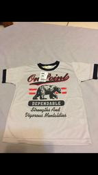 臺灣製 113學年 體適能檢測 新制 仰臥捲腹專用墊 檢測墊 瑜珈墊 體適能墊 外銷歐盟等級 PER 環保無毒高密度 歷史價格詳細信息