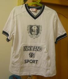 Why? 11世界大展戰與前後的世界/GrayPAs 文鶴書店 Crane Publishing 歷史價格詳細信息