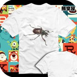 男女童裝短袖T恤T恤短袖衣服JOJO世界時間停止DIO但我拒絕親子裝成人T恤棉質 歷史價格詳細信息