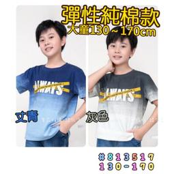 【零碼】???? 剩 11 碼 秋季新款 迷彩拚色長袖上衣 長袖 上衣 迷彩 男童 兒童 T恤 童裝 小不點童裝 歷史價格詳細信息